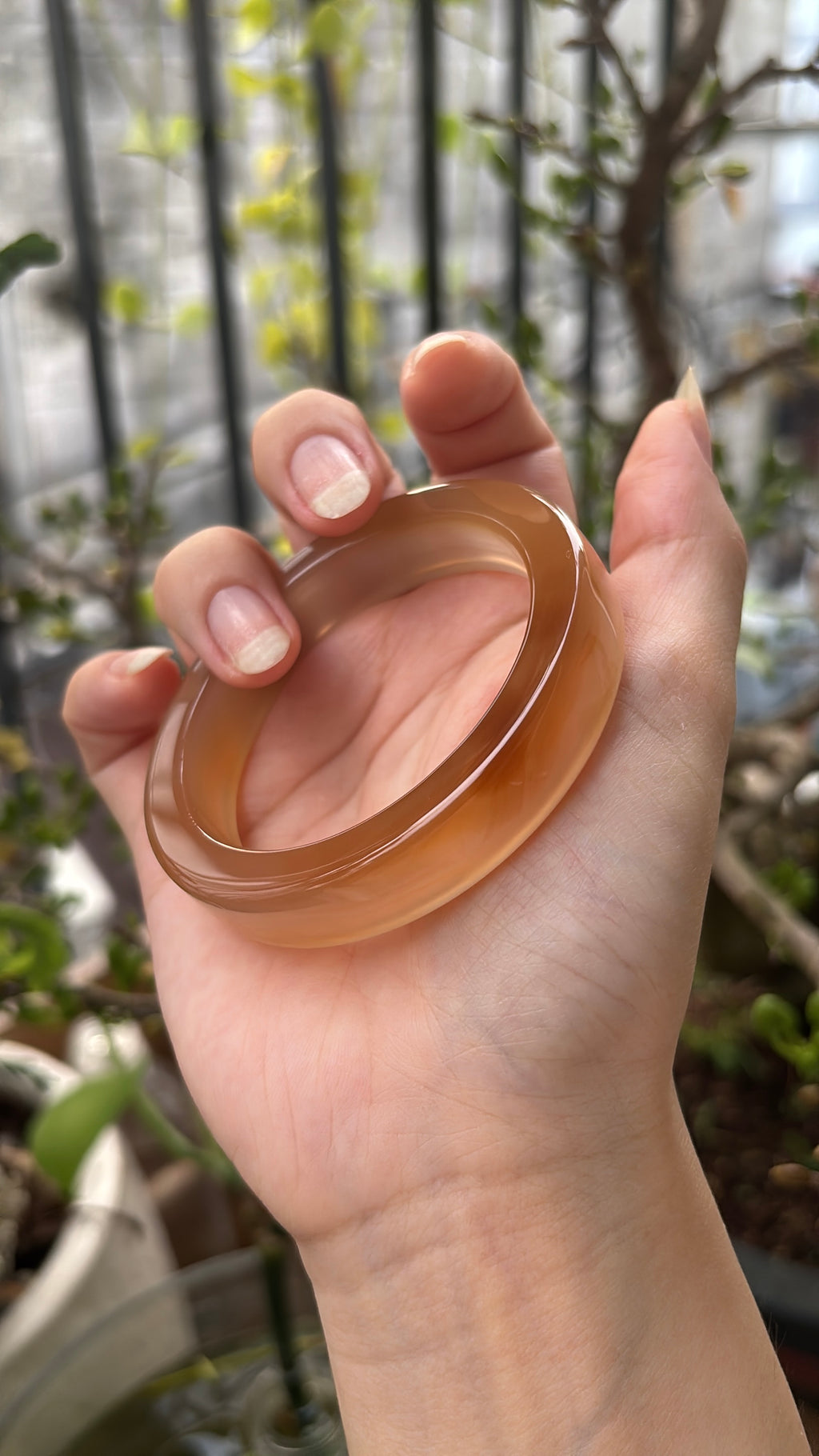 ◾️: Mật ong chín (53.1)