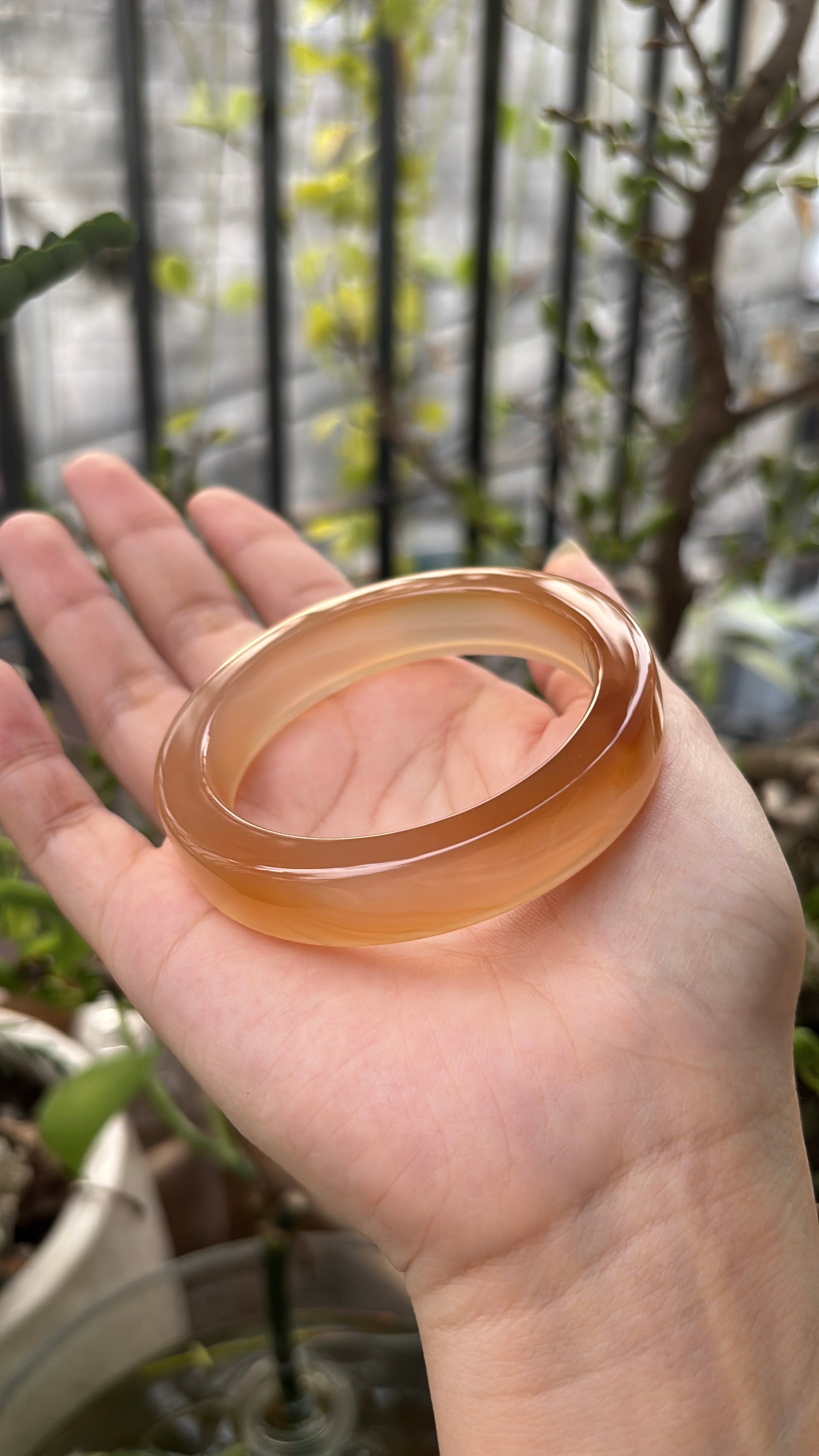 ◾️: Mật ong chín (53.1)