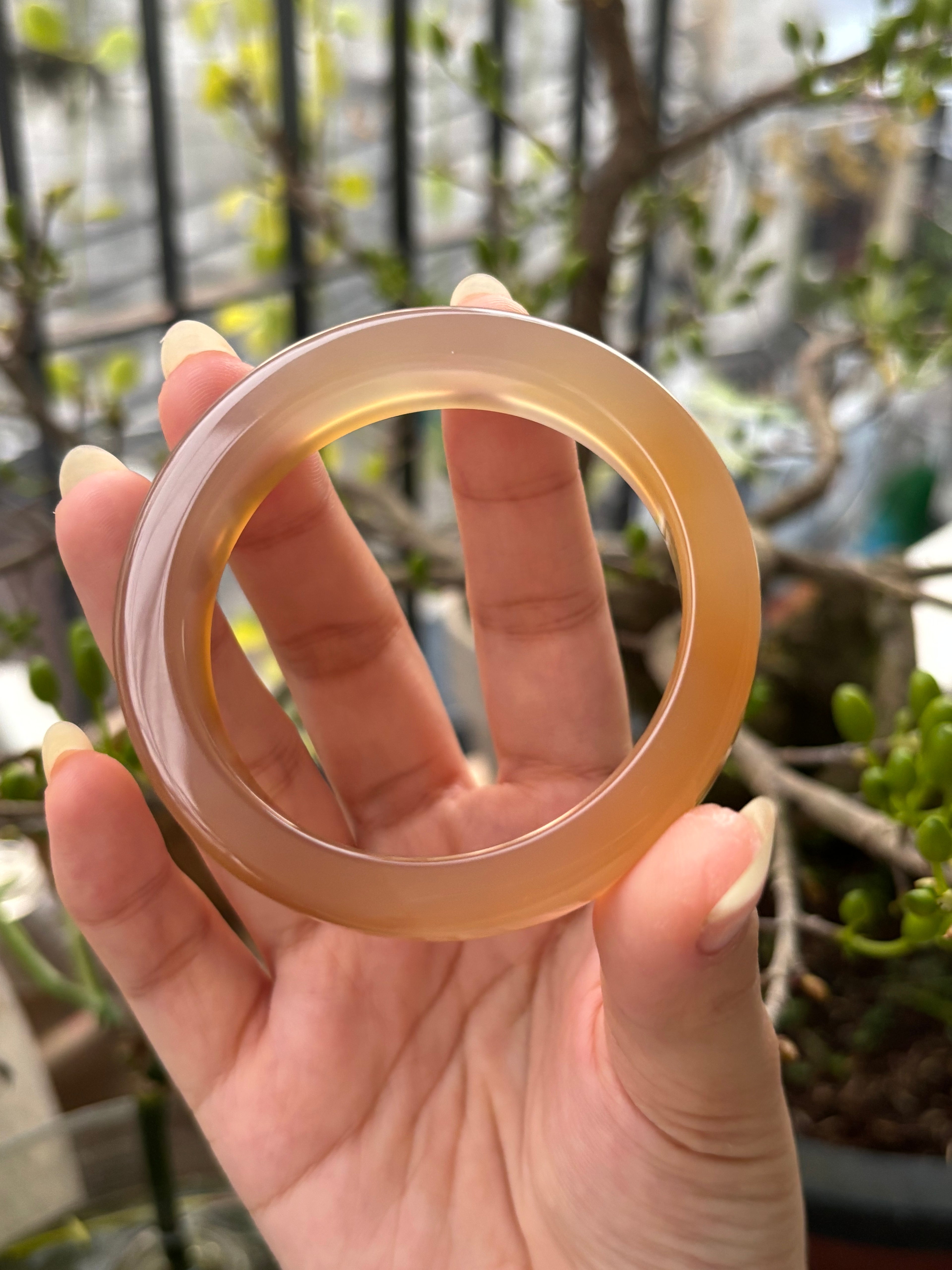 ◾️: Mật ong chín (53.1)