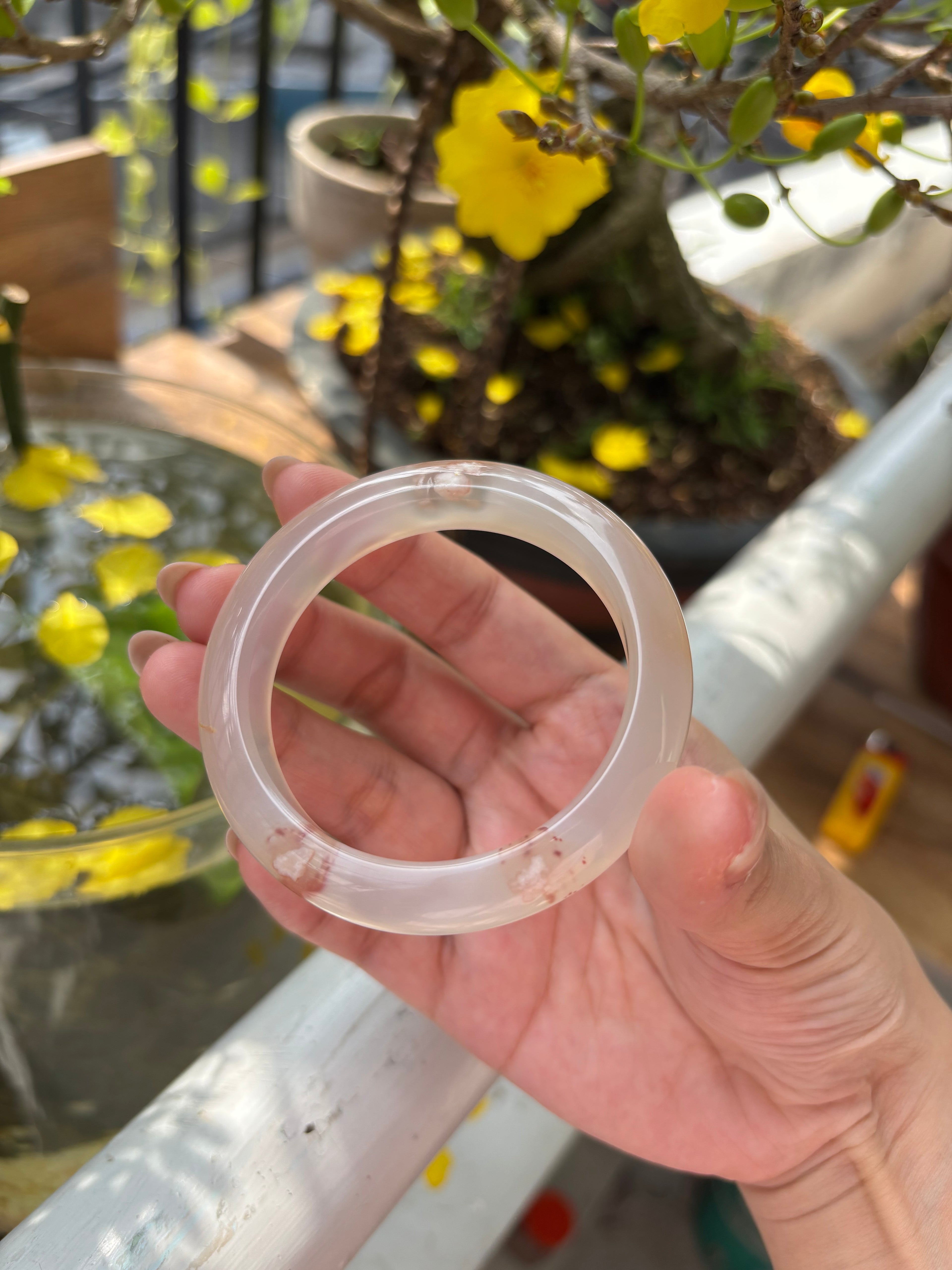 D: Hoa anh đào (53.1)