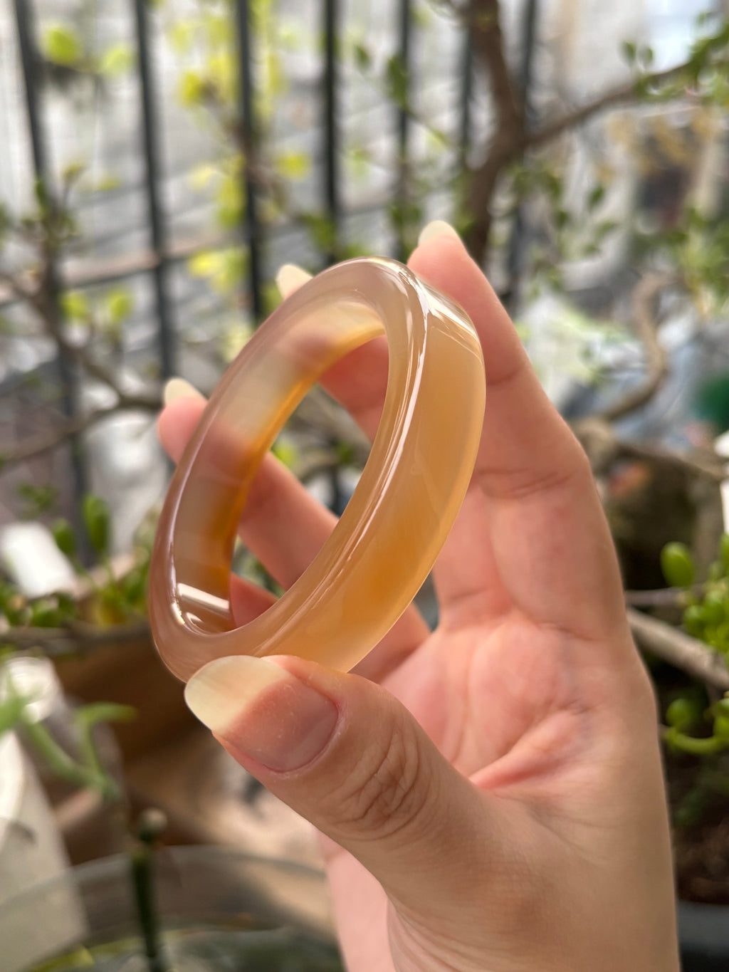 ◾️: Mật ong chín (53.1)