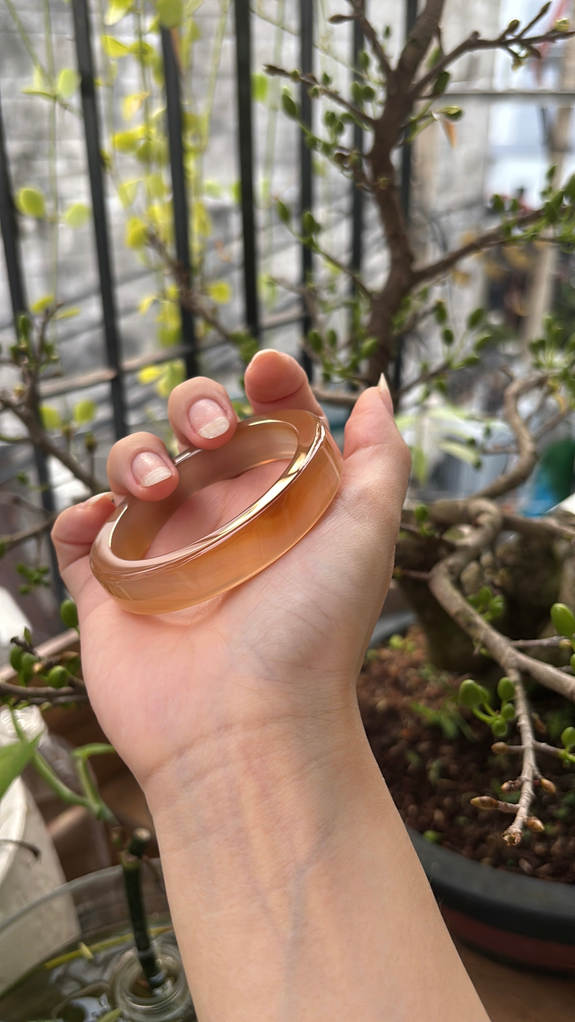 ◾️: Mật ong chín (53.1)