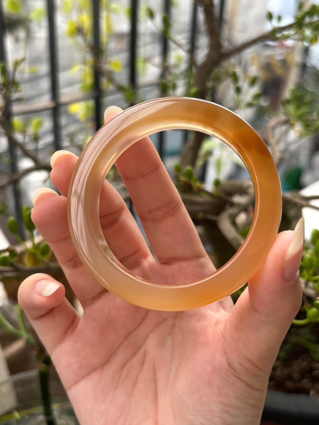 ◾️: Mật ong chín (53.1)