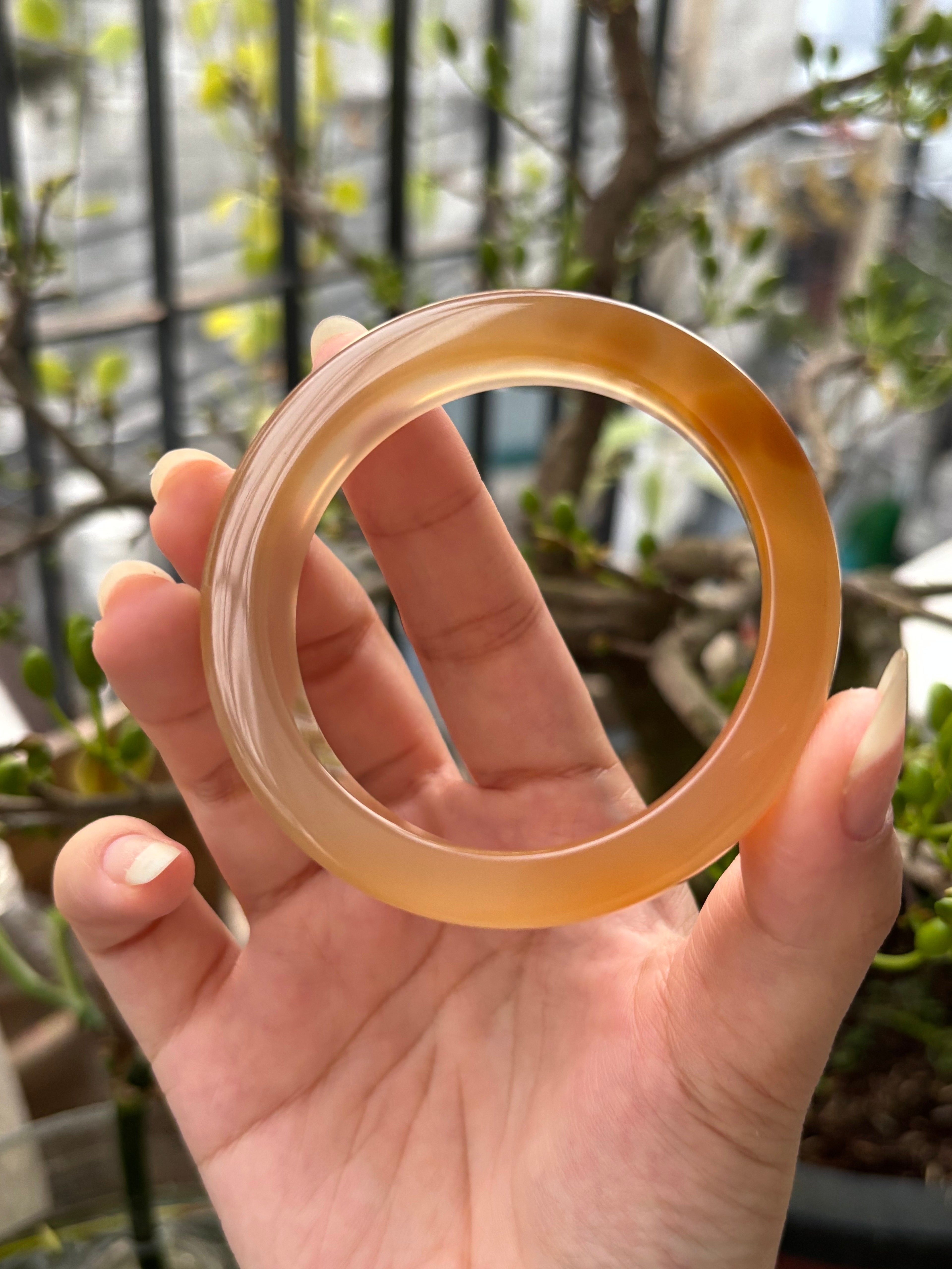 ◾️: Mật ong chín (53.1)