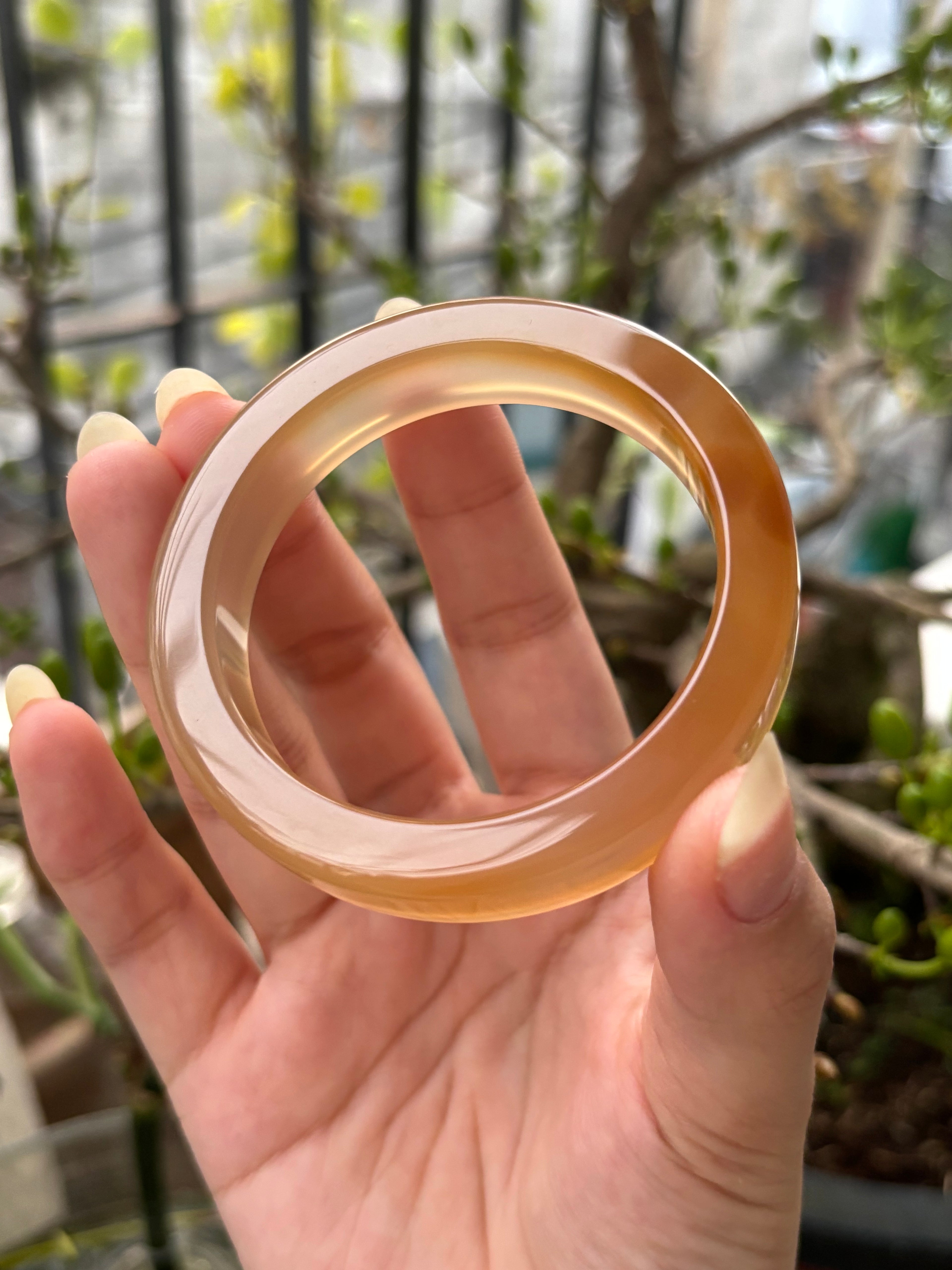 ◾️: Mật ong chín (53.1)