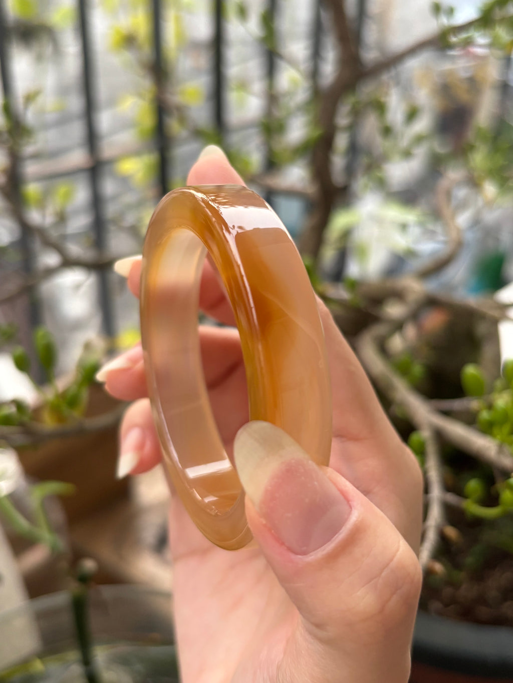 ◾️: Mật ong chín (53.1)