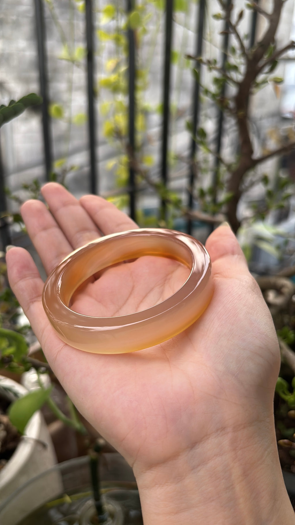 ◾️: Mật ong chín (53.1)