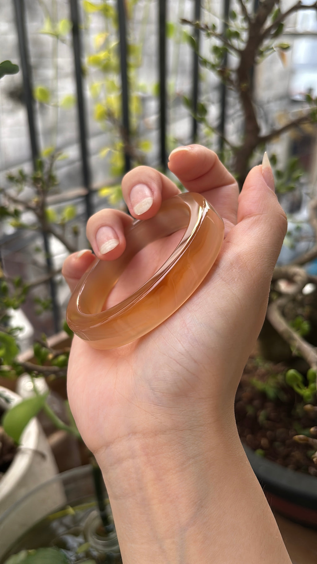 ◾️: Mật ong chín (53.1)